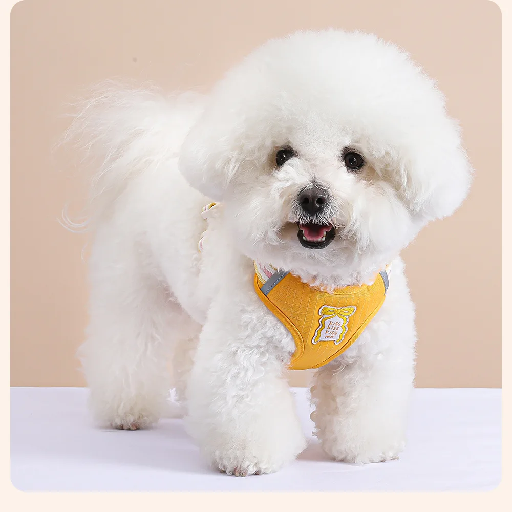 Coleira e Guia para Cães Pequenos e Médios com Laço para Passeio - Imagem 3