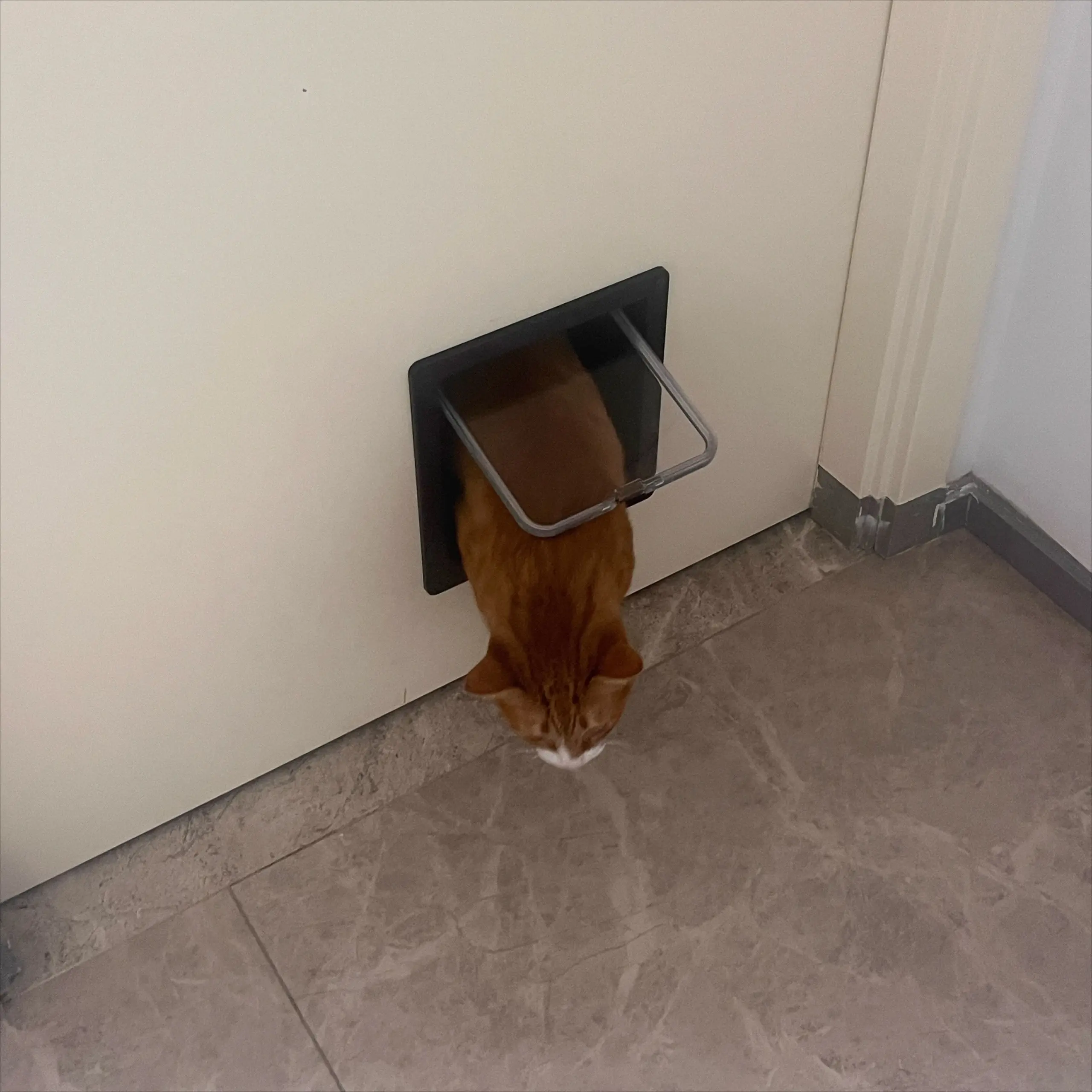 Porta para Cães e Gatos L com Trava de Segurança em 4 Direções - Imagem 2