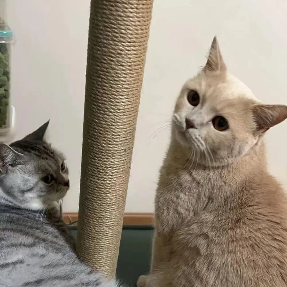 Poste Arranhador para Gatos de Sisal 7 cm Diâmetro com Porca M8 - Imagem 3