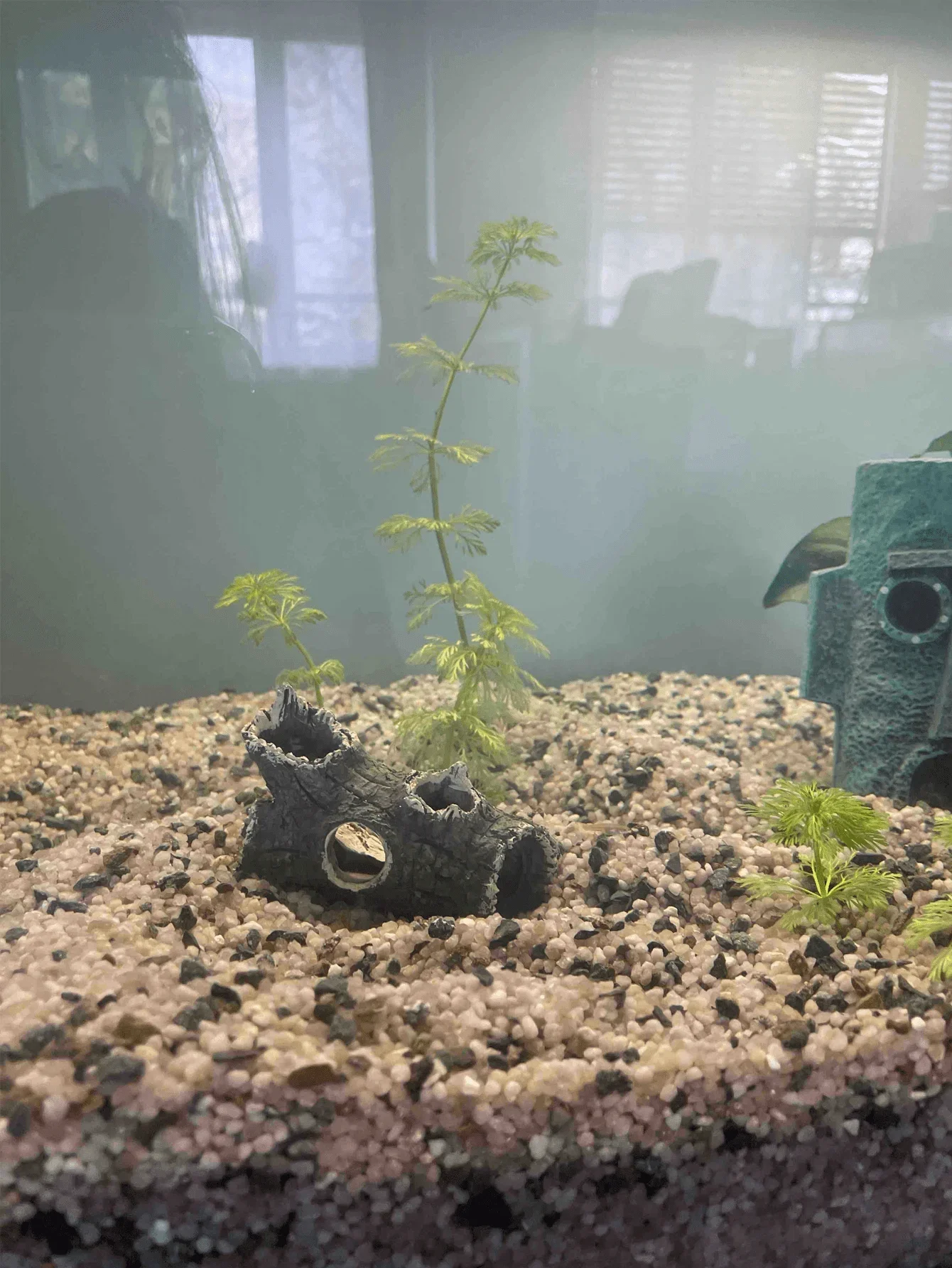Galho de Árvore para Aquário Marrom 10 cm Esconderijo para Peixes - Imagem 2