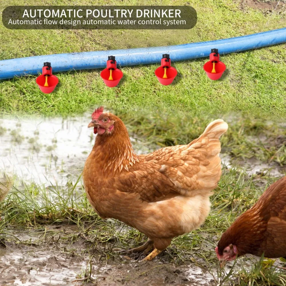 Bebedouro Automático para Aves Galinhas Codorna com Encaixe em Balde - Imagem 2
