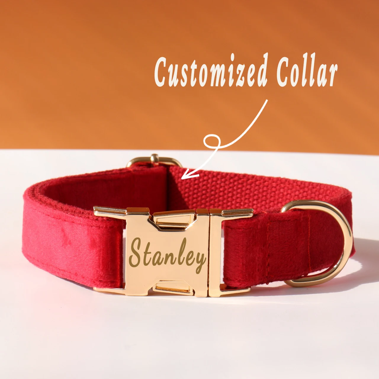 Coleira e Guia Personalizada para Cães com Nome e Telefone - Imagem 2