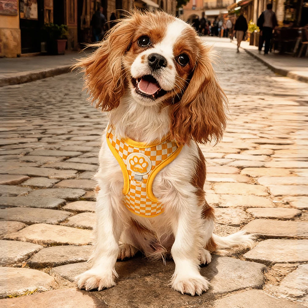 Coleira e Arnês para Cães Pequenos e Médios com Estampa Xadrez Ajustável - Imagem 3