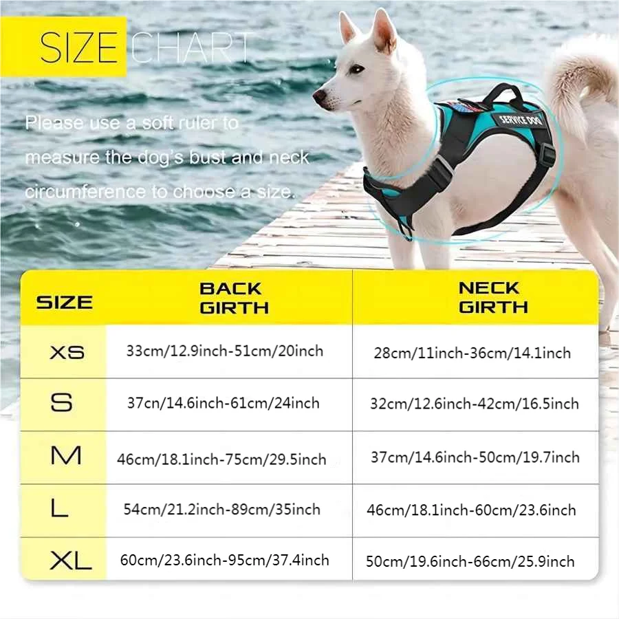 Conjunto de Coleira e Peitoral para Cães Refletivo para Caminhada - Imagem 2
