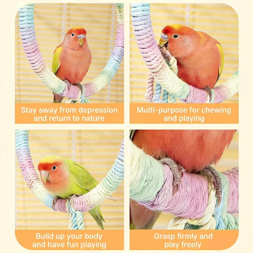 Brinquedo de Balanço para Pássaros com Anel de Corda Colorido - Imagem 6