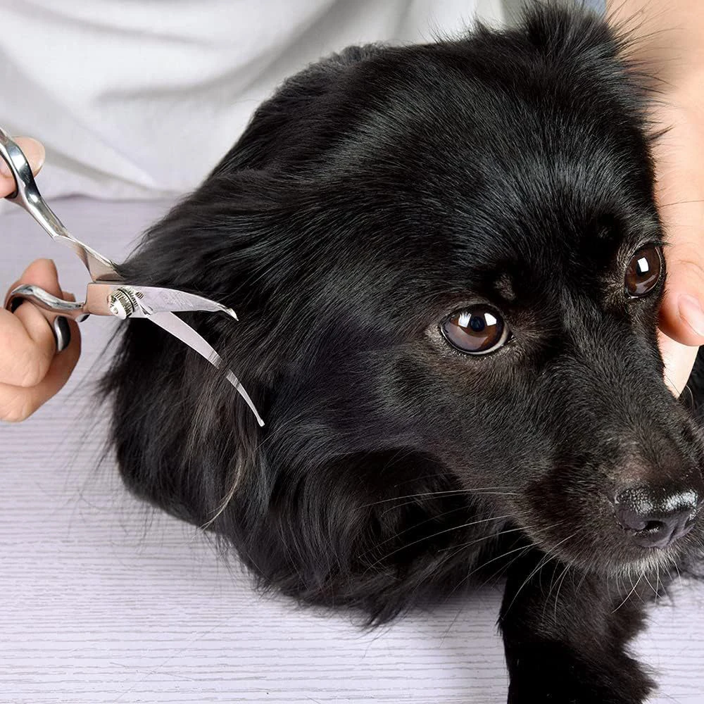Tesoura para Cães e Gatos de Aço Inoxidável para Pelos - Imagem 3