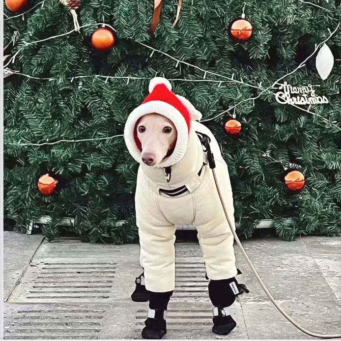 Jaqueta de Inverno para Cães Grandes com Capa Completa para Pescoço - Imagem 3