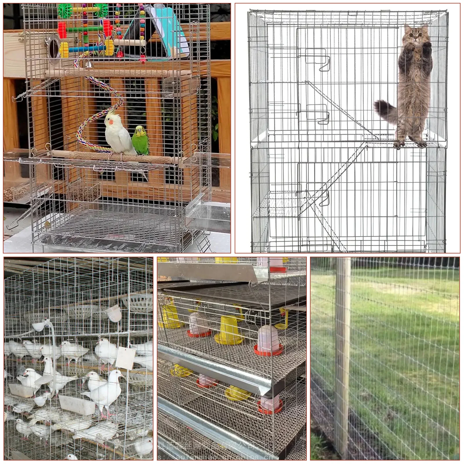 Alicate para Gaiolas de Aves e Roedores com 600 Grampos - Imagem 6