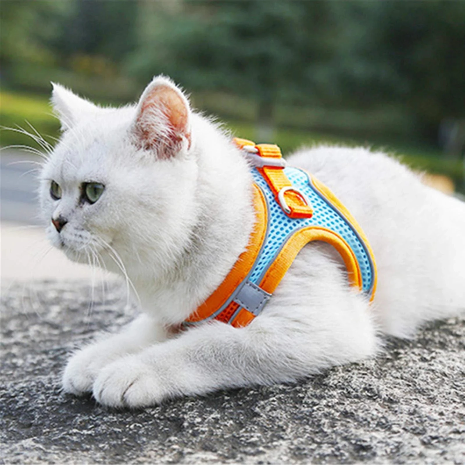 Arnês Refletivo Ajustável para Cães com Guia para Passeio Noturno - Imagem 5