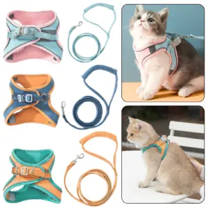 colete refletivo para cães e gatos