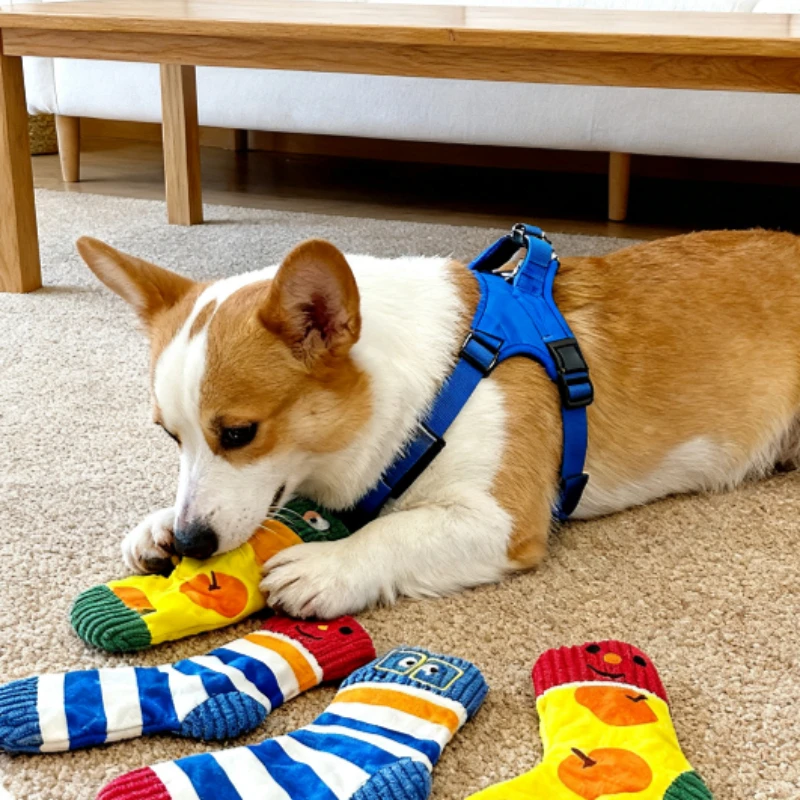 Brinquedo de Pelúcia para Cães Pequenos 15cm com Apito - Imagem 6