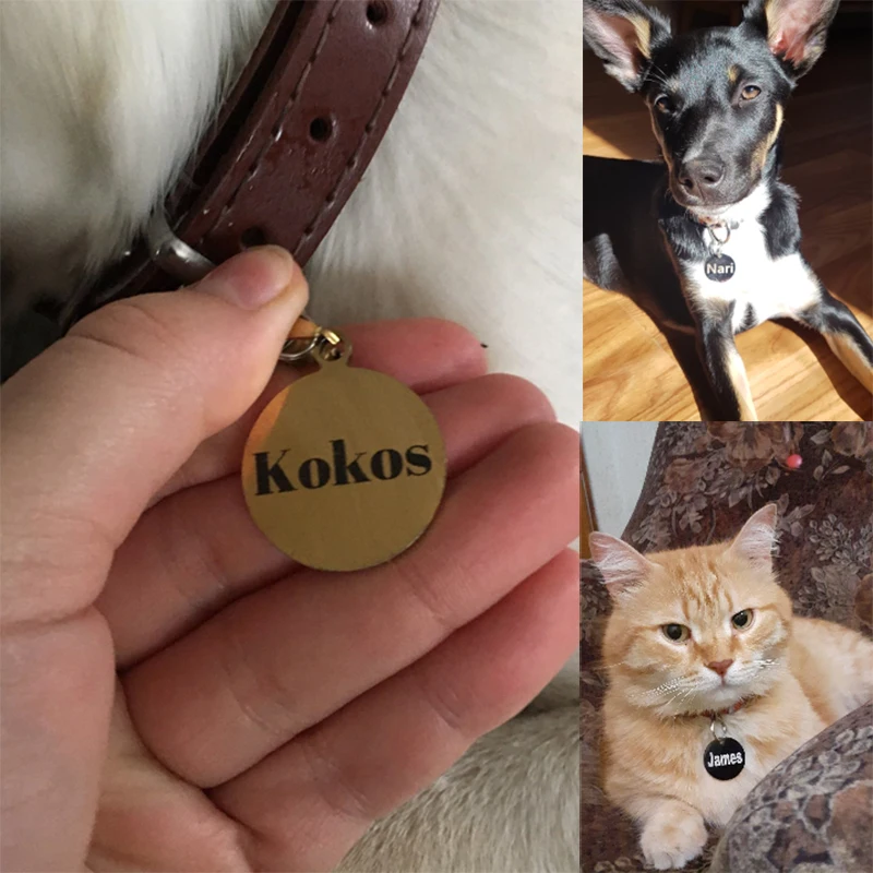 Etiqueta de Identificação para Cães e Gatos de Aço Inoxidável Gravada - Imagem 6