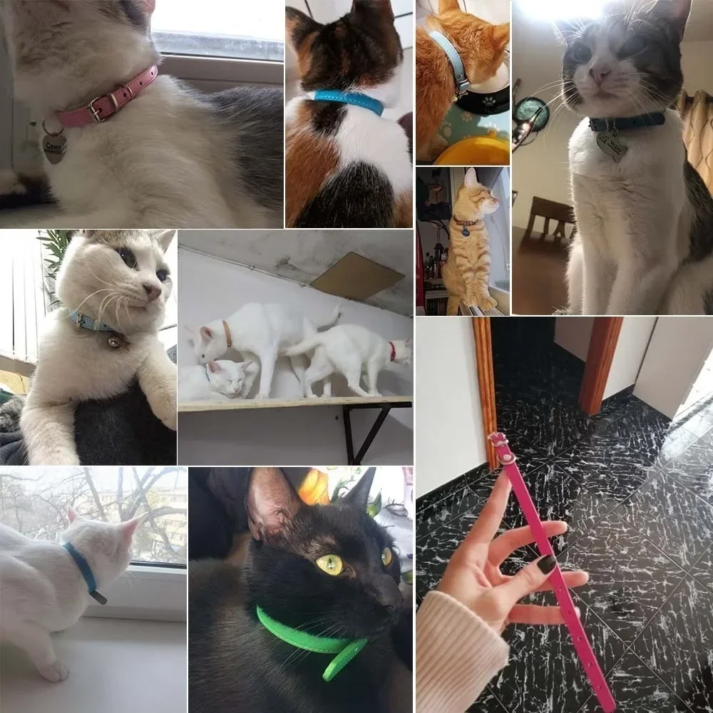 Coleira de Couro para Cães e Gatos com Gravação de Nome - Imagem 5