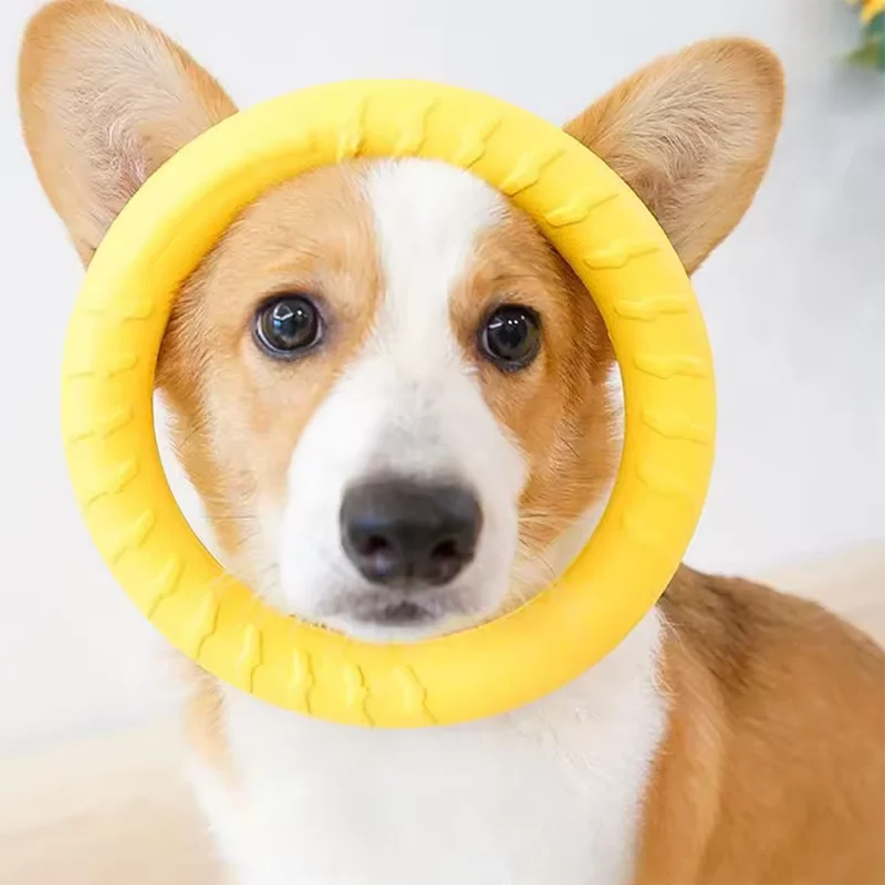 Brinquedo Frisbee para Cães com Corda para Treinamento ao Ar Livre - Imagem 4