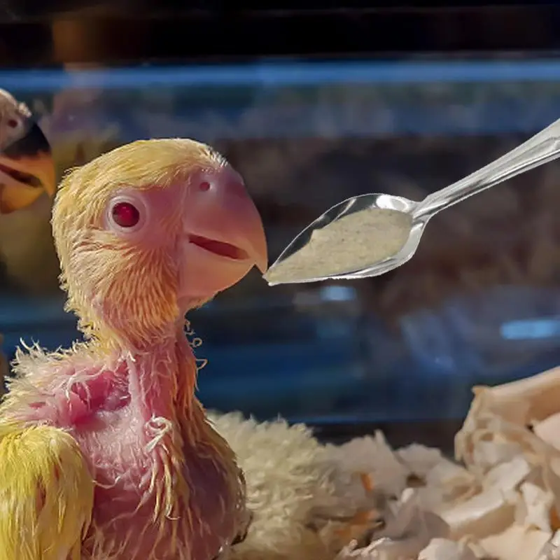 Colher de Alimentação para Pássaros de Aço Inoxidável 12 cm - Imagem 3