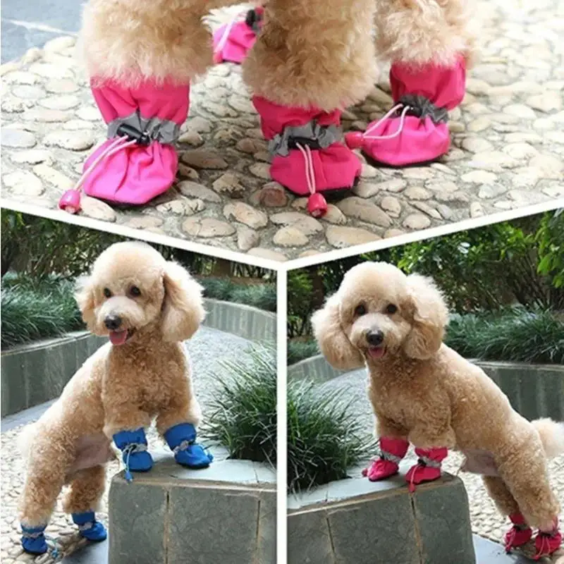Botas para Cães Pequenos e Gatos Antiderrapante Impermeável - Imagem 2
