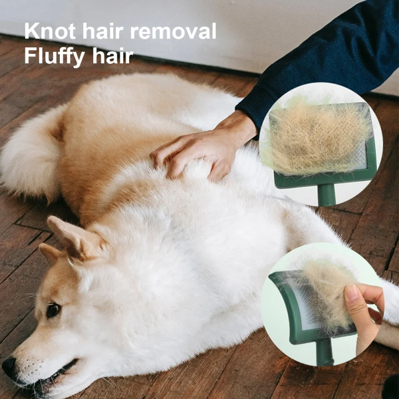 Escova para Cães Grandes com Pinos de Aço de 20 mm - Imagem 5