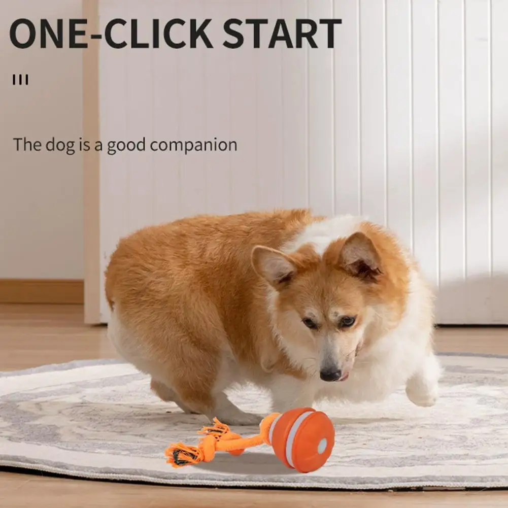 Bola Interativa para Cães Filhotes e Pequenos Recarregável USB - Imagem 6