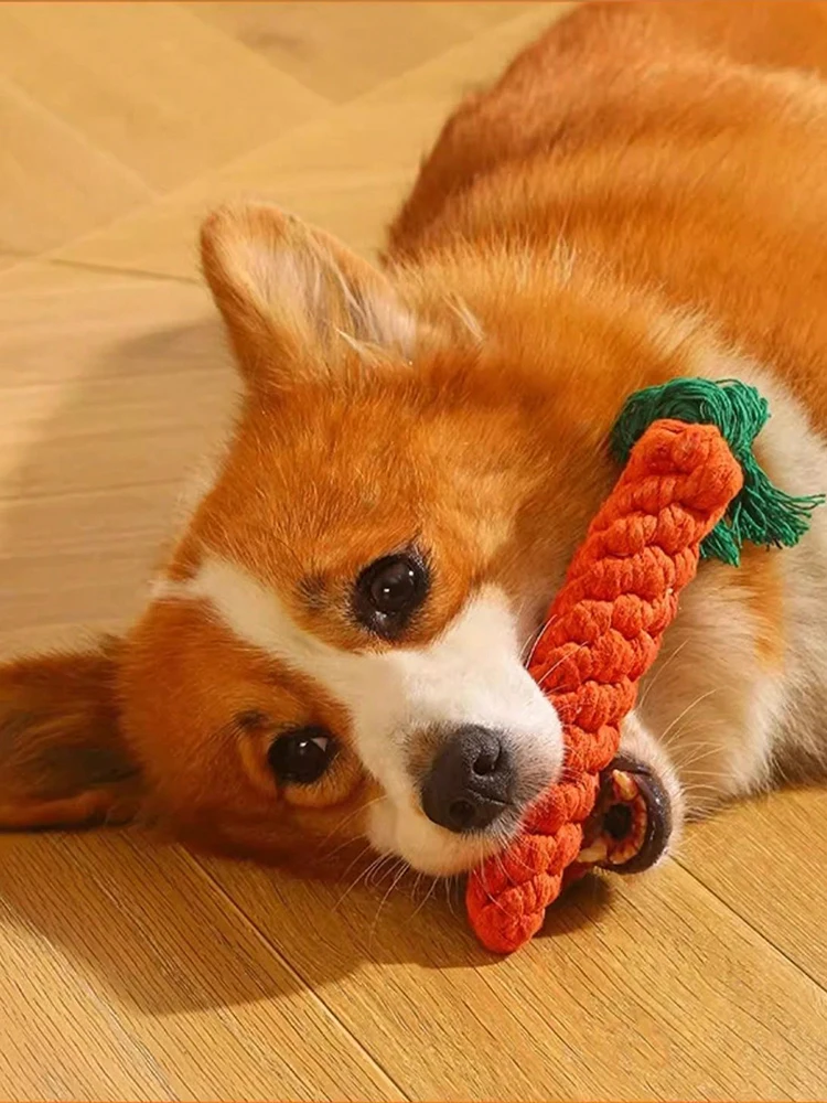 Brinquedo de Corda para Cães Pequenos e Médios Trançado com Nós - Imagem 5
