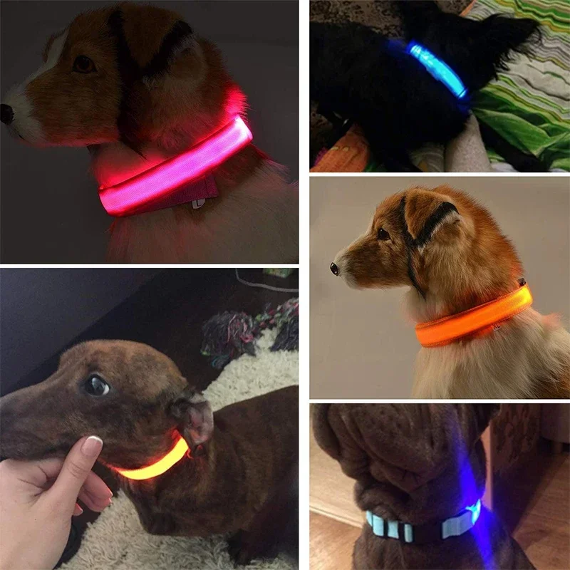 Coleira LED para Cães Recarregável USB com Faixa Luminosa - Image 5