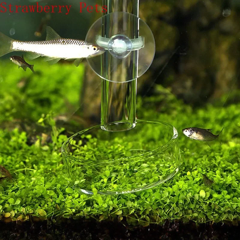Alimentador para Camarão de Aquário em Vidro Transparente Circular 6 cm - Imagem 3