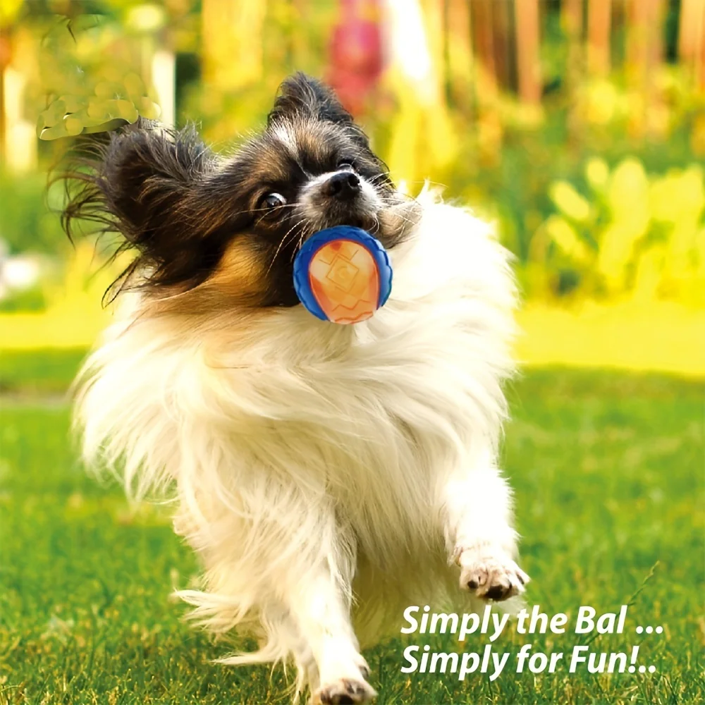 Brinquedo Bola de Borracha para Cães com Som Squeaky - Imagem 6
