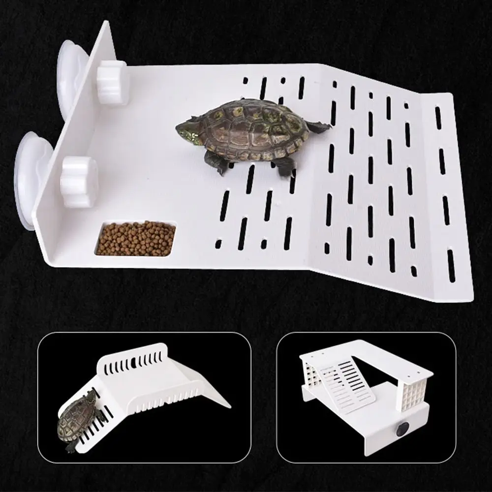 plataforma flutuante para tartarugas