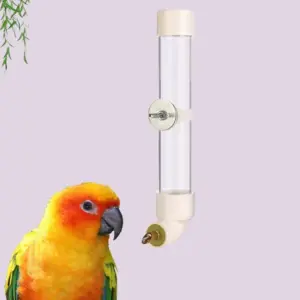 bebedouro para pássaros e hamsters