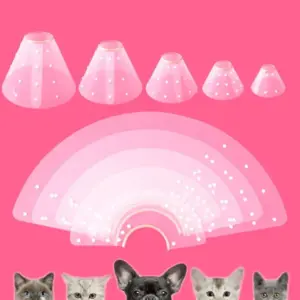 coleira de recuperação transparente para gatos