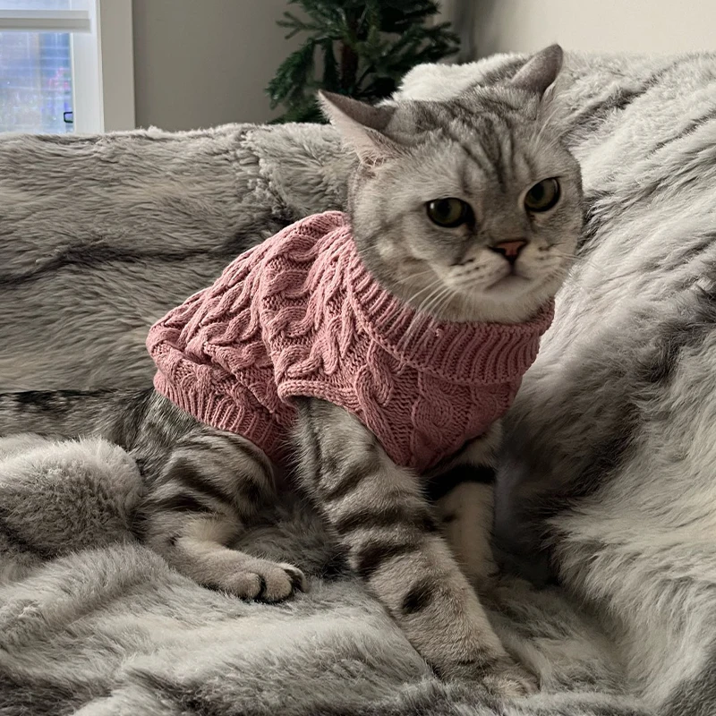 Suéter de Tricô para Cães e Gatos Pequenos com Gola Alta - Image 2