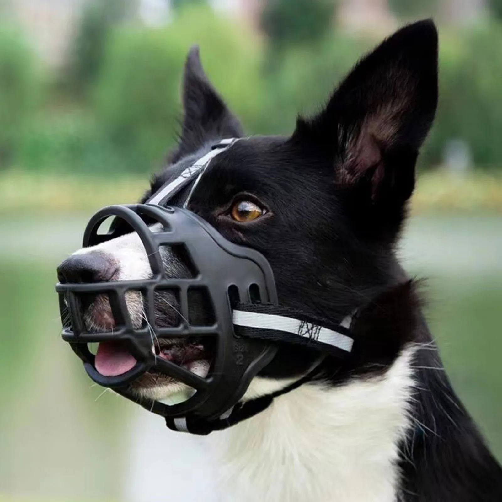 Focinheira de Cesta para Cães de Silicone com Fivela Ajustável - Image 2