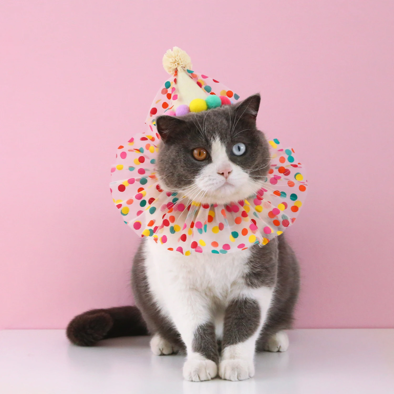 Chapéu de Aniversário para Cães e Gatos com Babador Ajustável - Image 2
