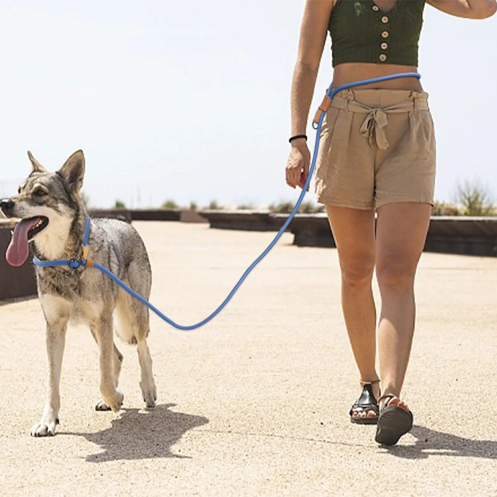 Coleira Multifuncional para Cães Ajustável 210/300cm para Passeio - Imagem 5
