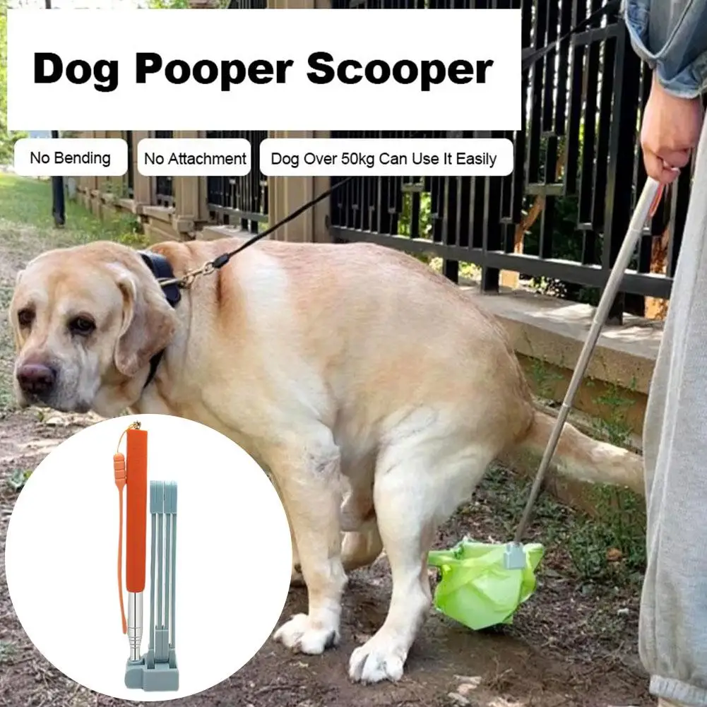 Coletor de Dejetos para Cães e Gatos em Aço com Cabo de 73 cm - Imagem 4