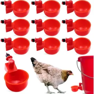 bebedouro automático para aves