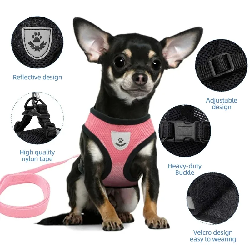 Coleira Peitoral para Gatos de Poliéster Ajustável com Faixa Refletiva - Imagem 6