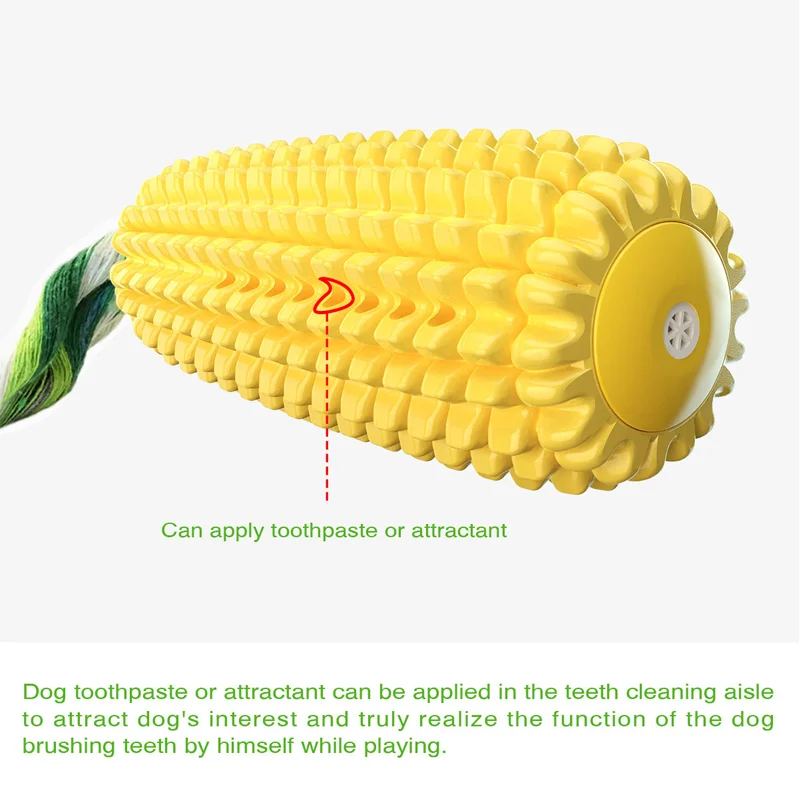 Brinquedo para Cães Bastão Dental de TPR com Som 15.7 cm - Imagem 3