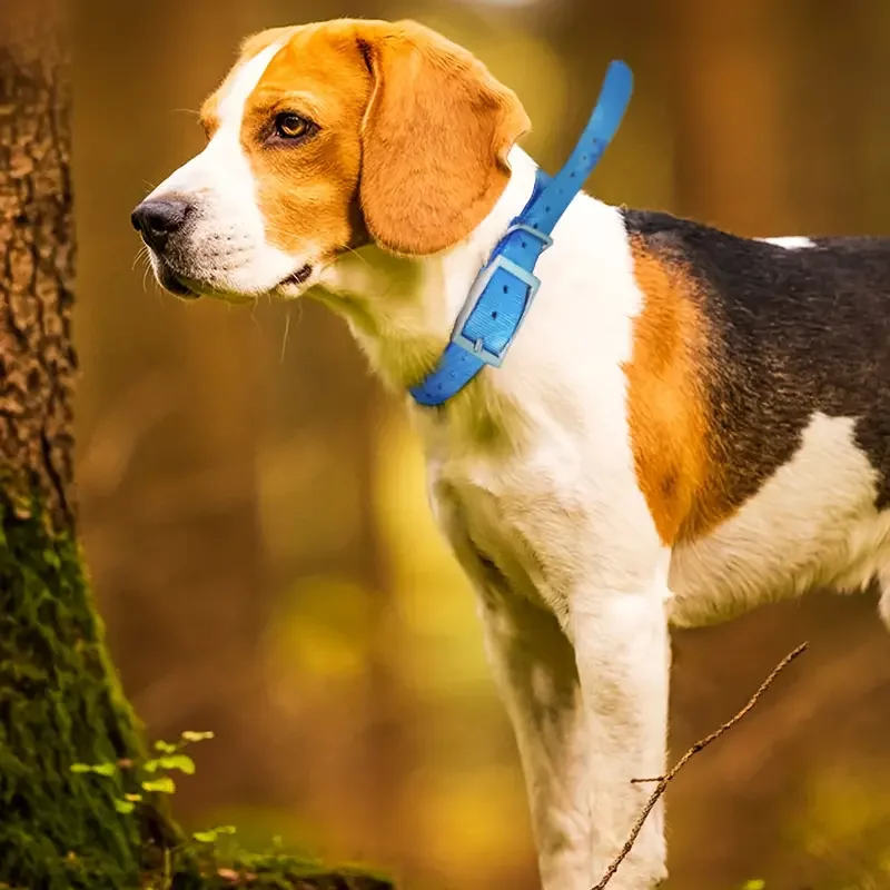 Coleira para Cães Grandes em TPU Ajustável e Fácil de Limpar - Imagem 2