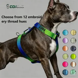 peitoral para cães com nome bordado