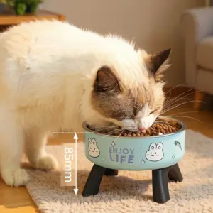 tigela de aço inoxidável anti-tombamento para cães e gatos
