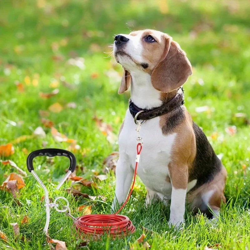 Guia Dupla para Cães de Aço 5mm x 3m com Ganchos de Metal - Imagem 3