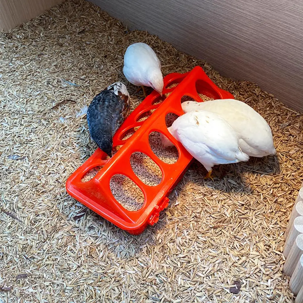 bebedouro para aves e pintinhos