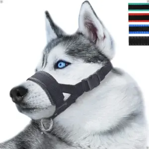 focinheira de nylon para cães