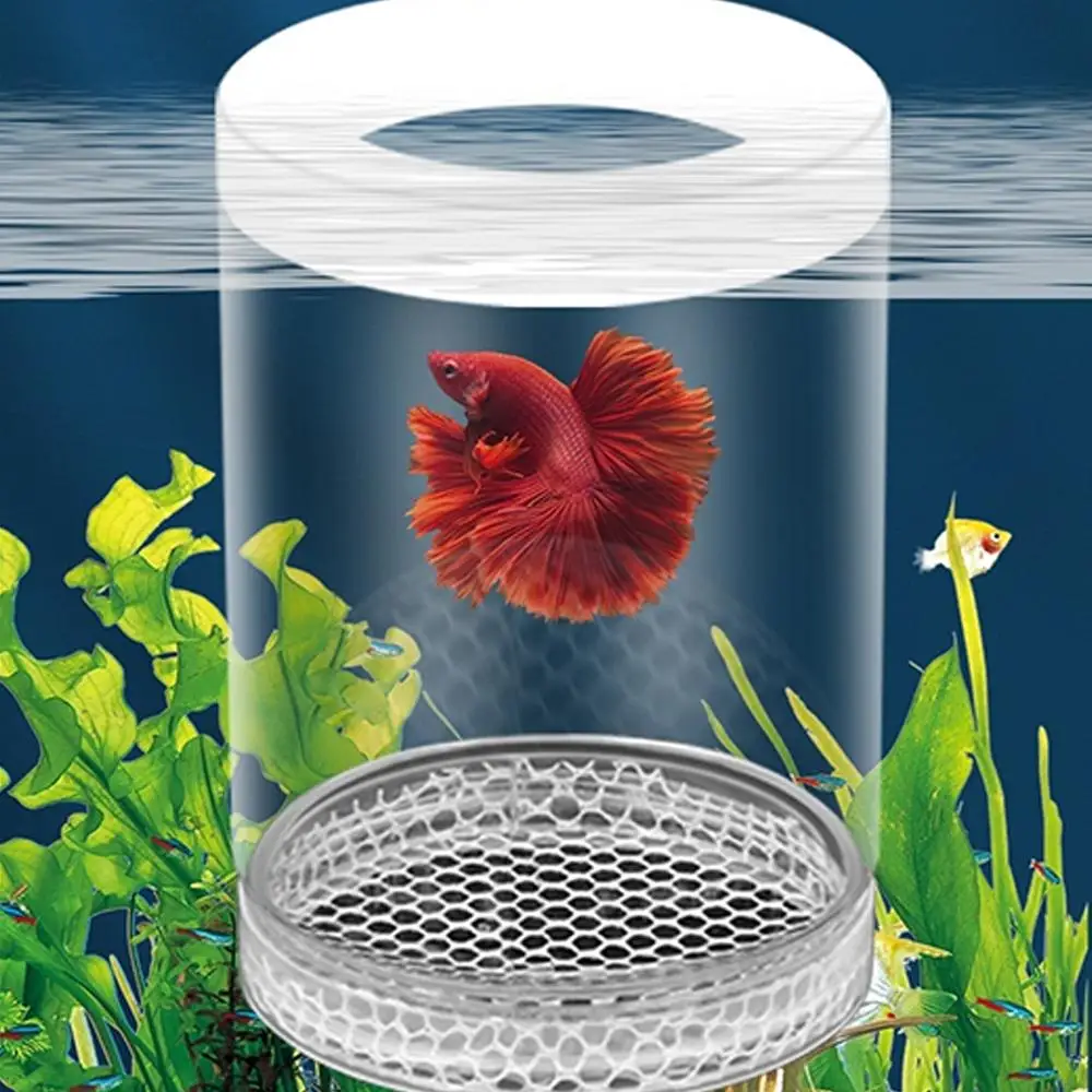 Caixa de Isolamento Flutuante para Aquário Plástico 7,8 cm com Suspensão - Imagem 5
