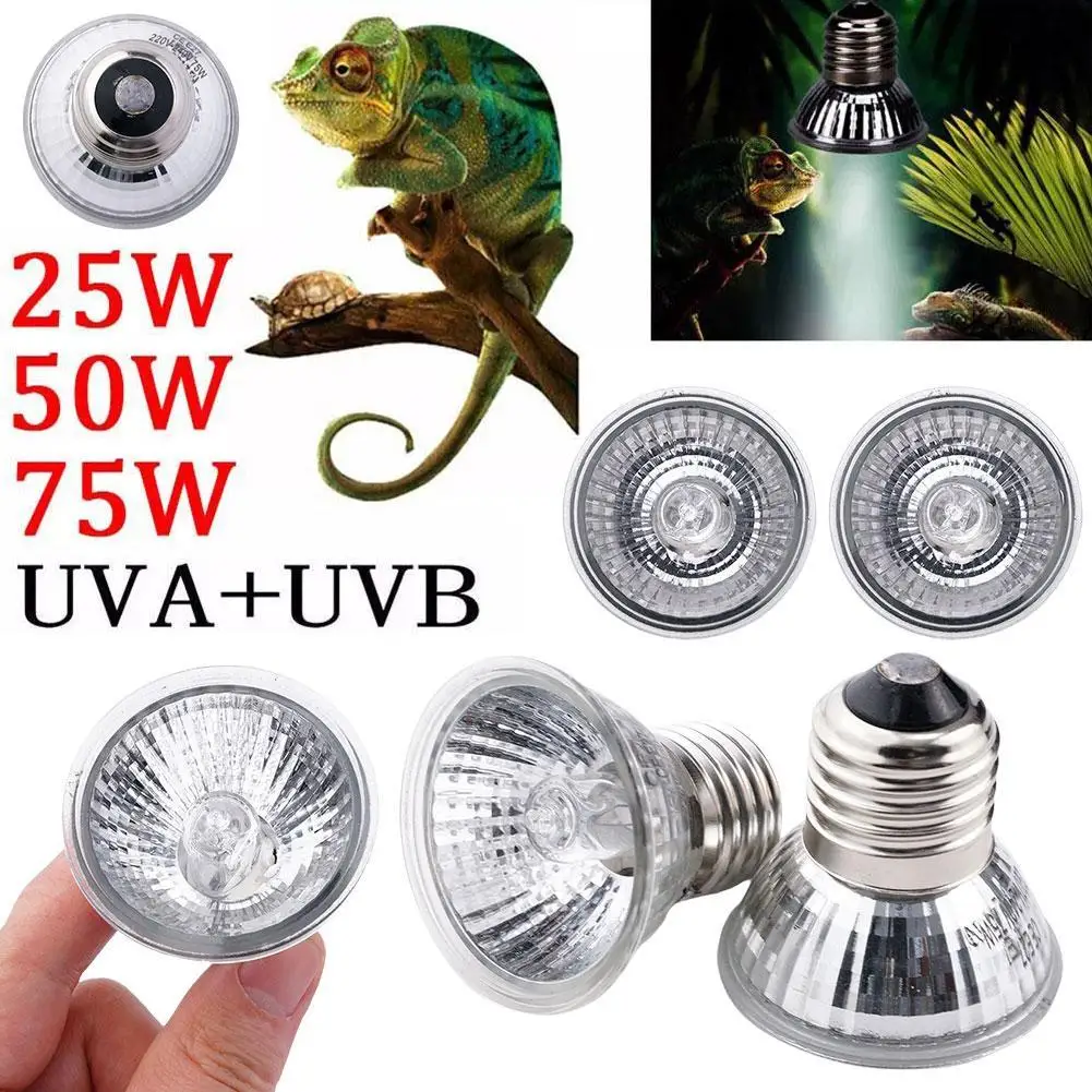 lâmpada uva uvb para répteis
