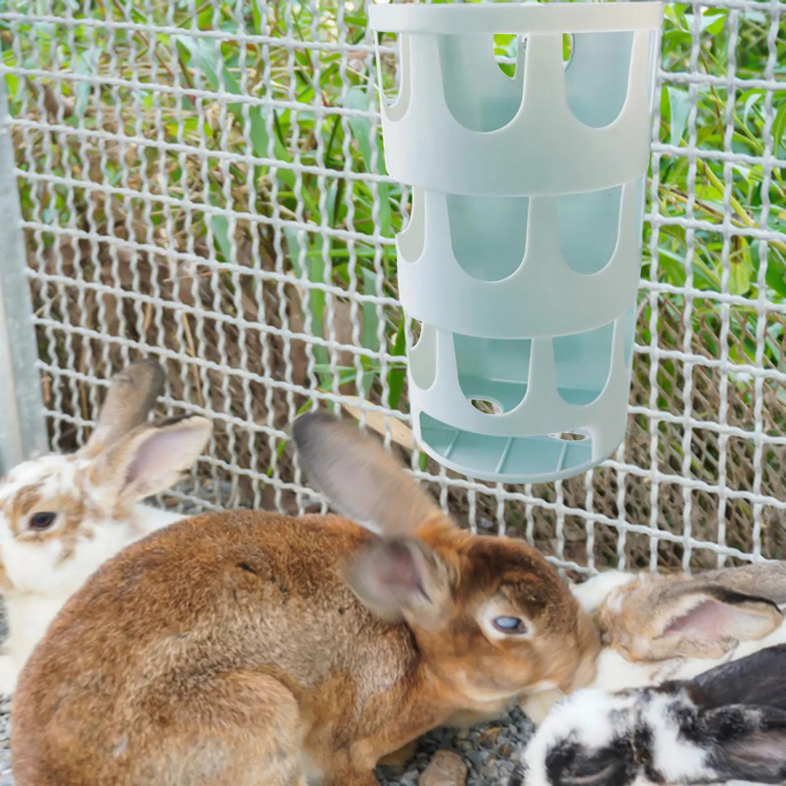 Alimentador de Feno para Coelhos e Roedores com Gancho para Gaiola - Imagem 2
