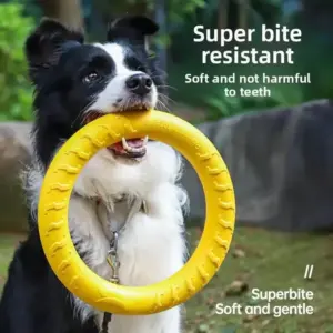 brinquedo anel flutuante para cães