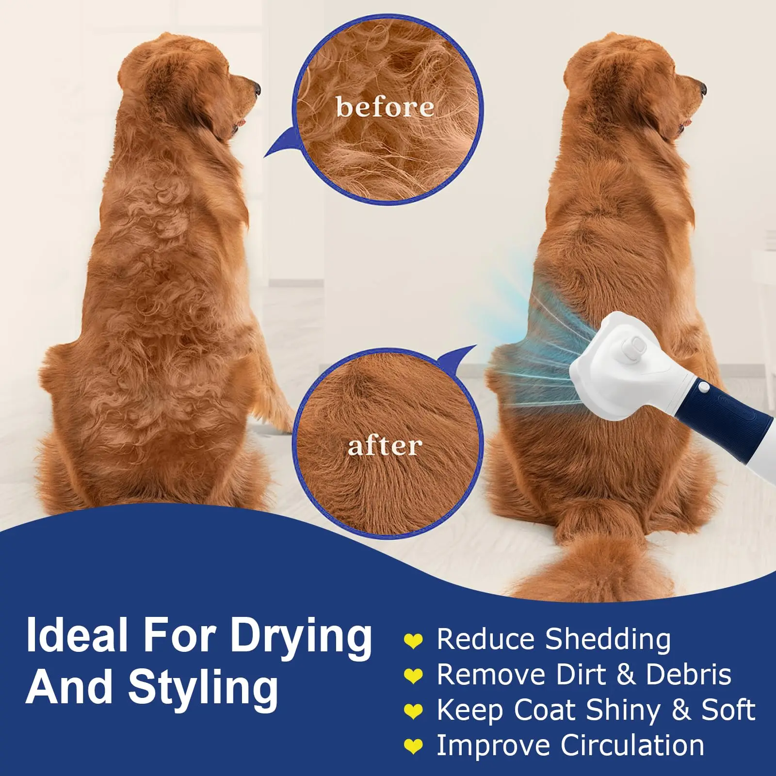 Secador de Pelos para Cães e Gatos Pequenos com Escova e Baixo Ruído - Image 2