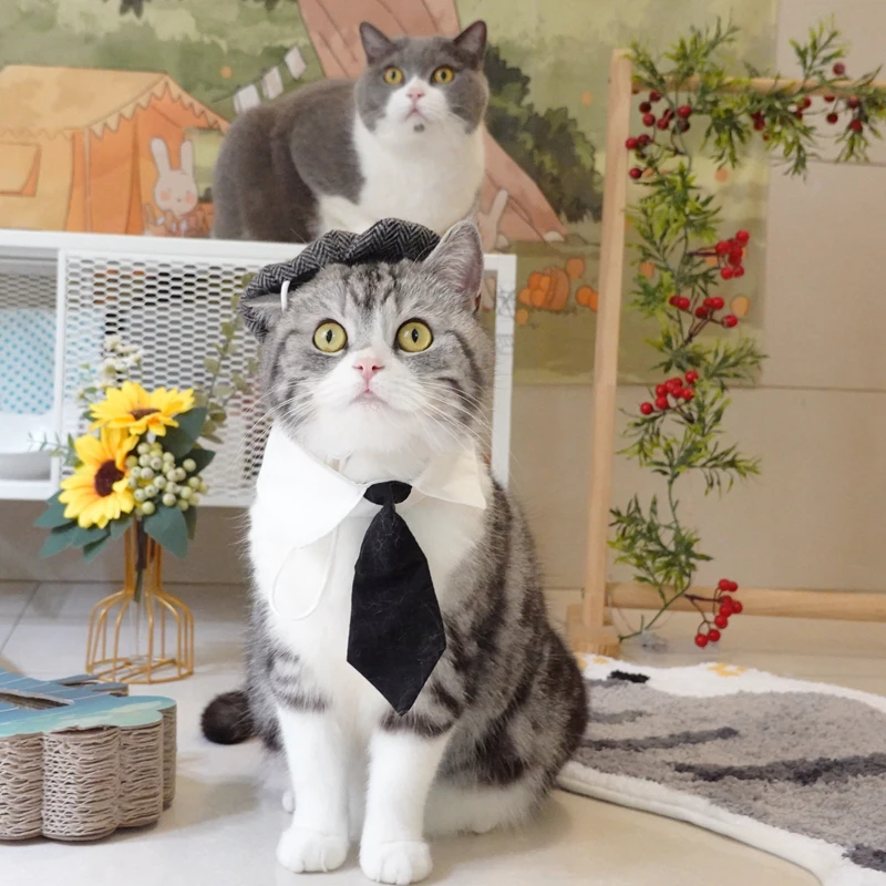 Chapéu Boina para Gatos com Gravata, Acessório para Fantasia - Imagem 2