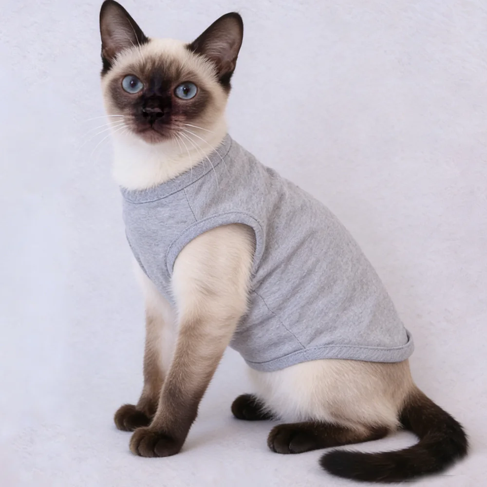 Colete Fashion para Cães e Gatos de Verão Respirável - Image 4